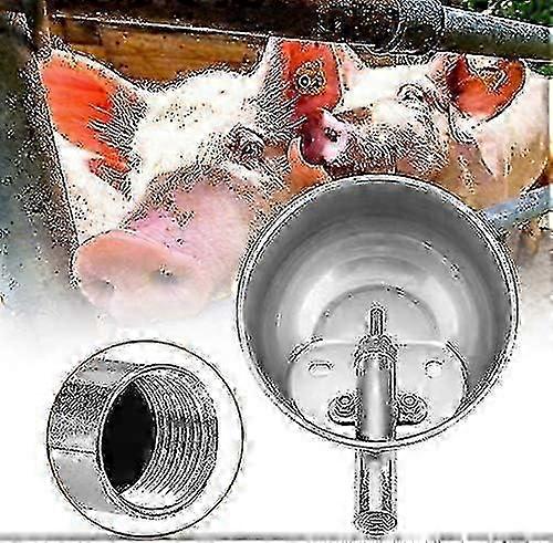 Stainless Steel Automatic Farm Grade Livestock Waterer Waterer for Sheep Pigs Puppies Piglets Piglet Edition 0724