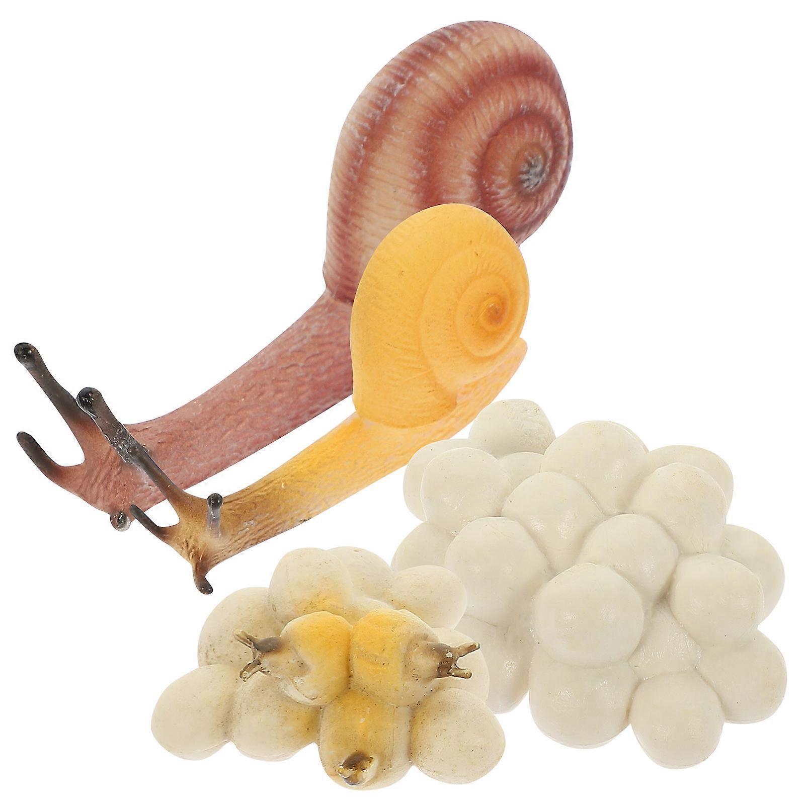Educational Snail Growth Cycle Set – Interactive Models for Science Learning & Imaginative Play