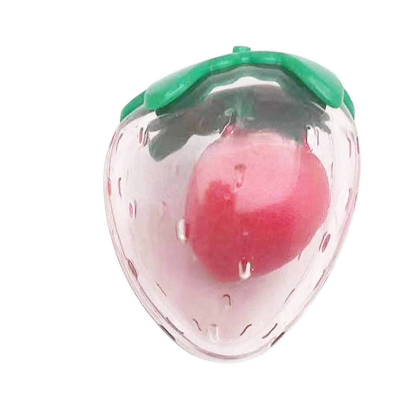 Realistic Strawberry Pet Toy Interactive Squeaky Sound Teeth Chewing Toy for Energetic Dogs in Various Sizes