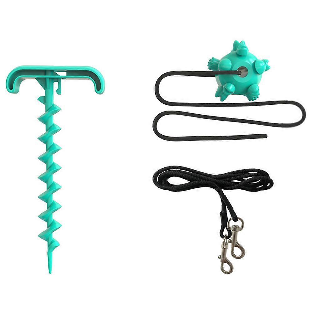 Dog Stake 3Pcs Set for Outdoor Use with Fixing Stake and Chew Toy