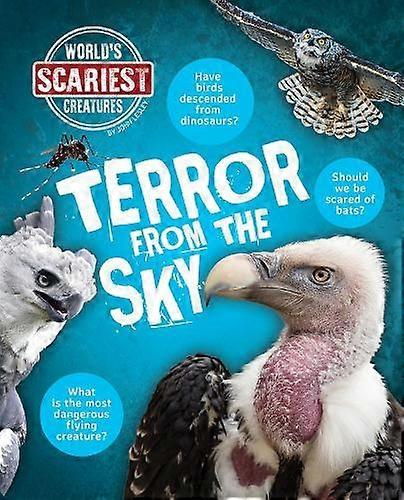 Terror From The Sky - John Lesley
