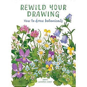 Rewild Your Drawing How to draw botanicals