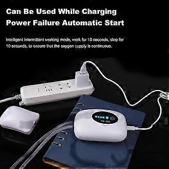 Pompa per acquario 2X, pompa per ossigeno ricaricabile tramite USB, gorgogliatore per acquario, batteria ad alta capacità da 4800 mAh, doppio foro di sfiato