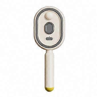 Frizz Reduction Electric Steam Hair Brush with Water Spray & Anti-Static