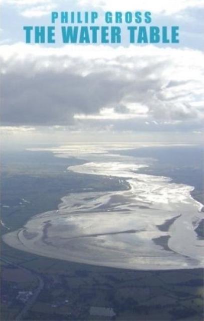 The Water Table by Philip Gross Paperback