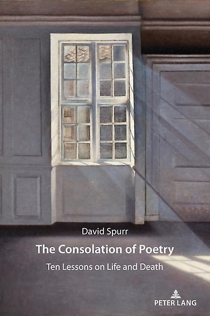 The Consolation Of Poetry by David Spurr Paperback Book