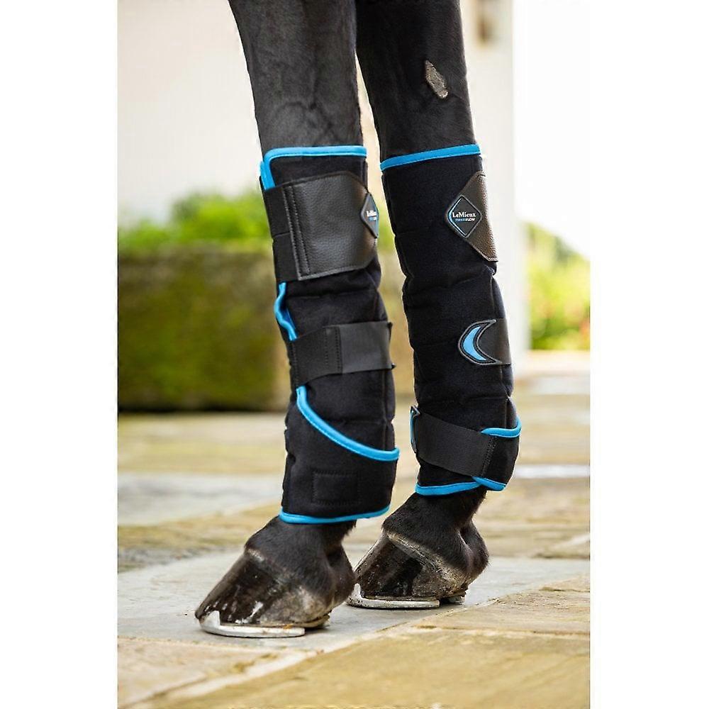 LeMieux Lemieux Freeze Flow Ice Boot - Black