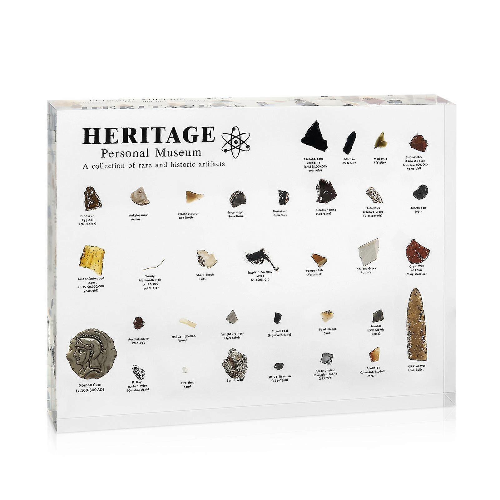 Patrimonio Museo personale Mini resina Museo di storia naturale Esposizione con campione reale dalla preistoria come spettacolo