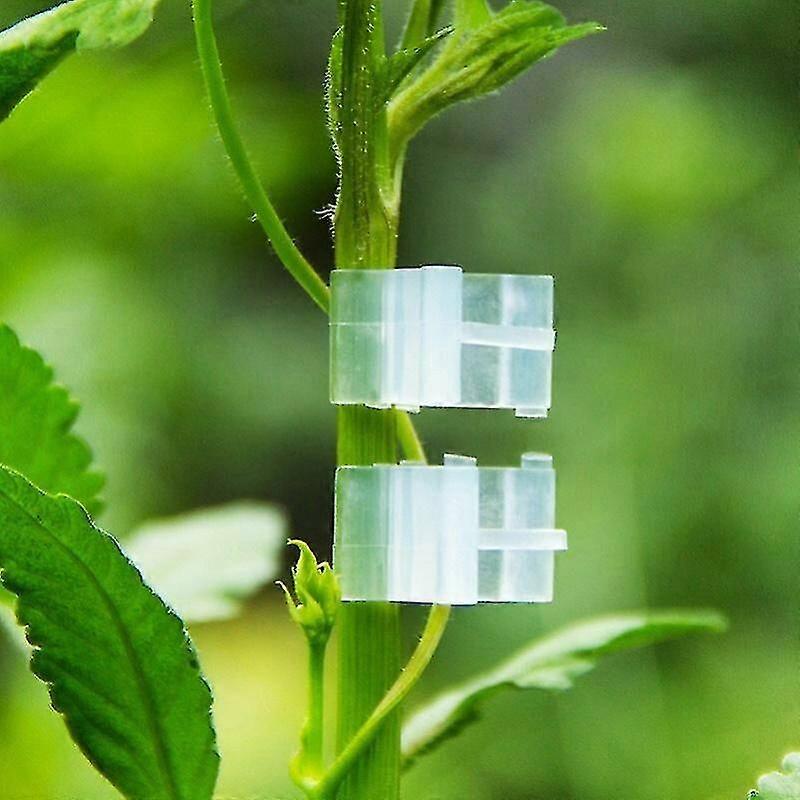 100 حزمة مقاطع تطعيم نباتية خاصة - مقاطع تطعيم زراعة الطماطم مقاطع تطعيم الباذنجان - Riilq مقاطع دعم بلاستيكية محملة بالربيع