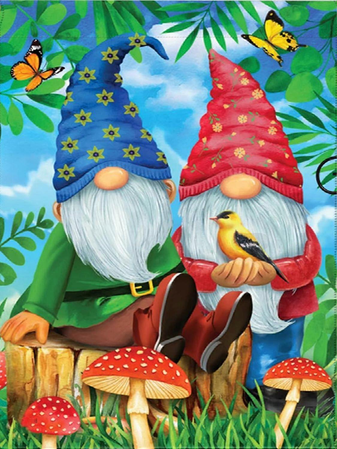 Dverger 5D diamantmalingssett 30x40 cm R