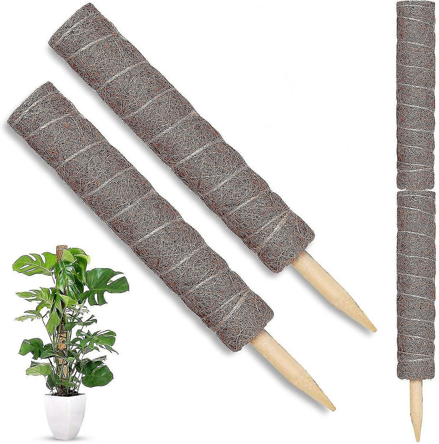 מונסטרה מחזיק צמחים לצמחים מקורים טיפוס על מוטות טחב - 2 חתיכות