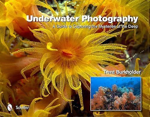 Underwater Photography: A Guide to Capturing the Mysteries of the Deep