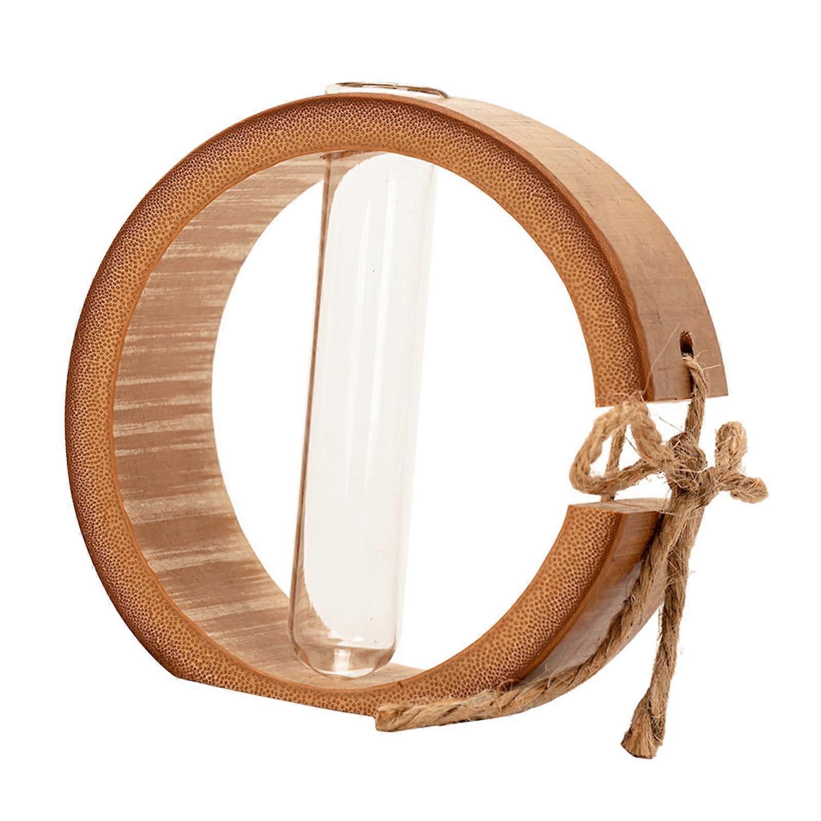 Hanging Planter Terrarium Plants -