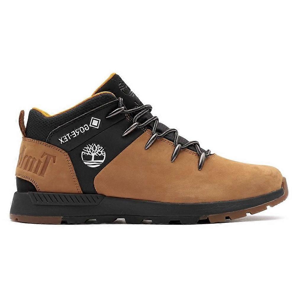 Shoes Timberland 1A2QZE231