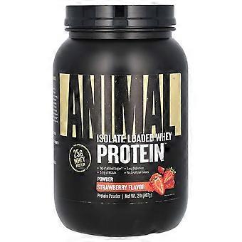 Animal, poudre de protéines de lactosérum isolées, fraise, 2 lb (907 g)