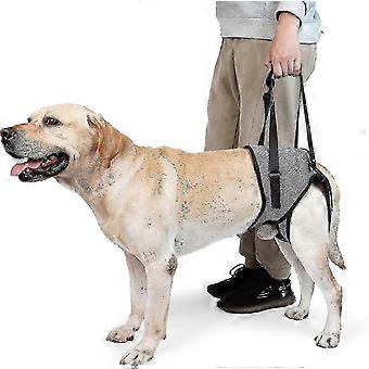 Großes Hundetuch zur Unterstützung der Hinterbeine und Rehabilitationshilfe für ältere Hunde mit schwachen Beinen - Mittlere Größe