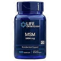 MSM 100 capsules
