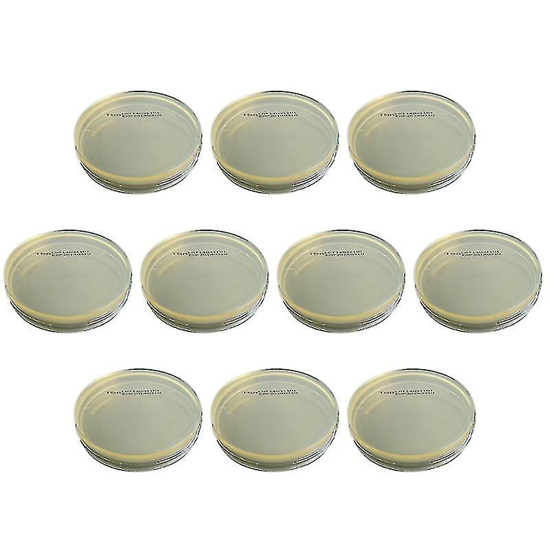 10pcs Placas de agar