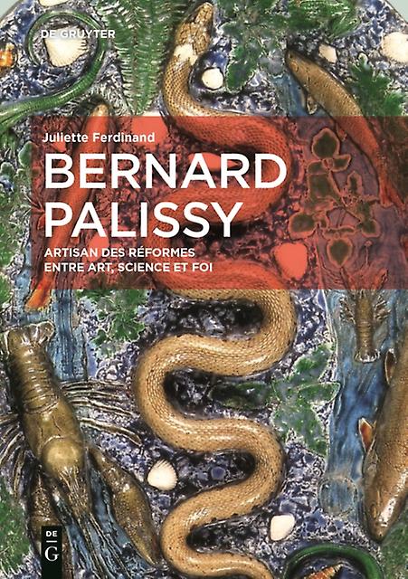 Bernard Palissy by Juliette Ferdinand Hardback Book