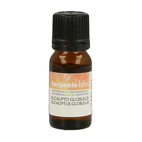 Eucaliptus Globulus Essential Oil 10 ml of essential oil (Eucalyptus)
