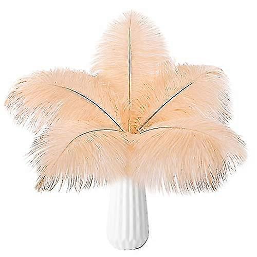 20pcs Natural Bulk Ostrich Feathers