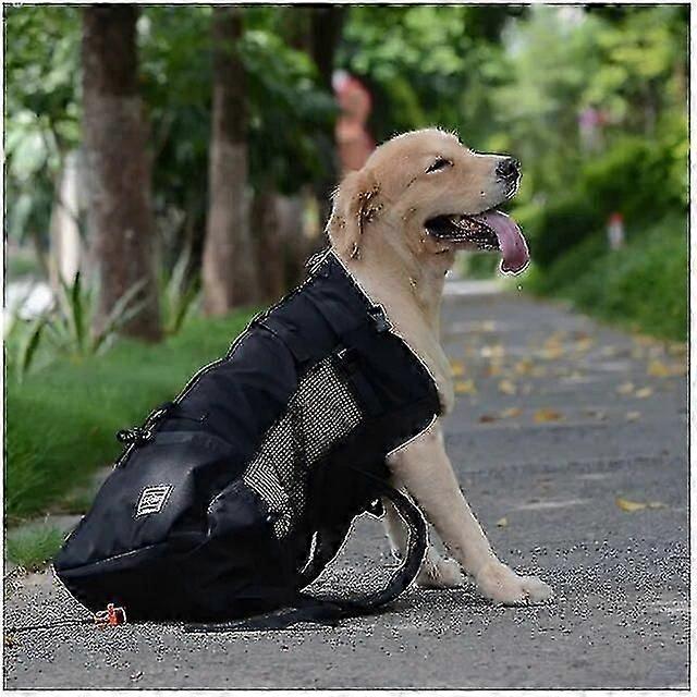 Pet Köpek Taşıyıcı Seyahat Sırt Çantası Açık Havalandırma Nefes Bisiklet Motosiklet Açık Yürüyüş Spor Örgü Çanta-İyi