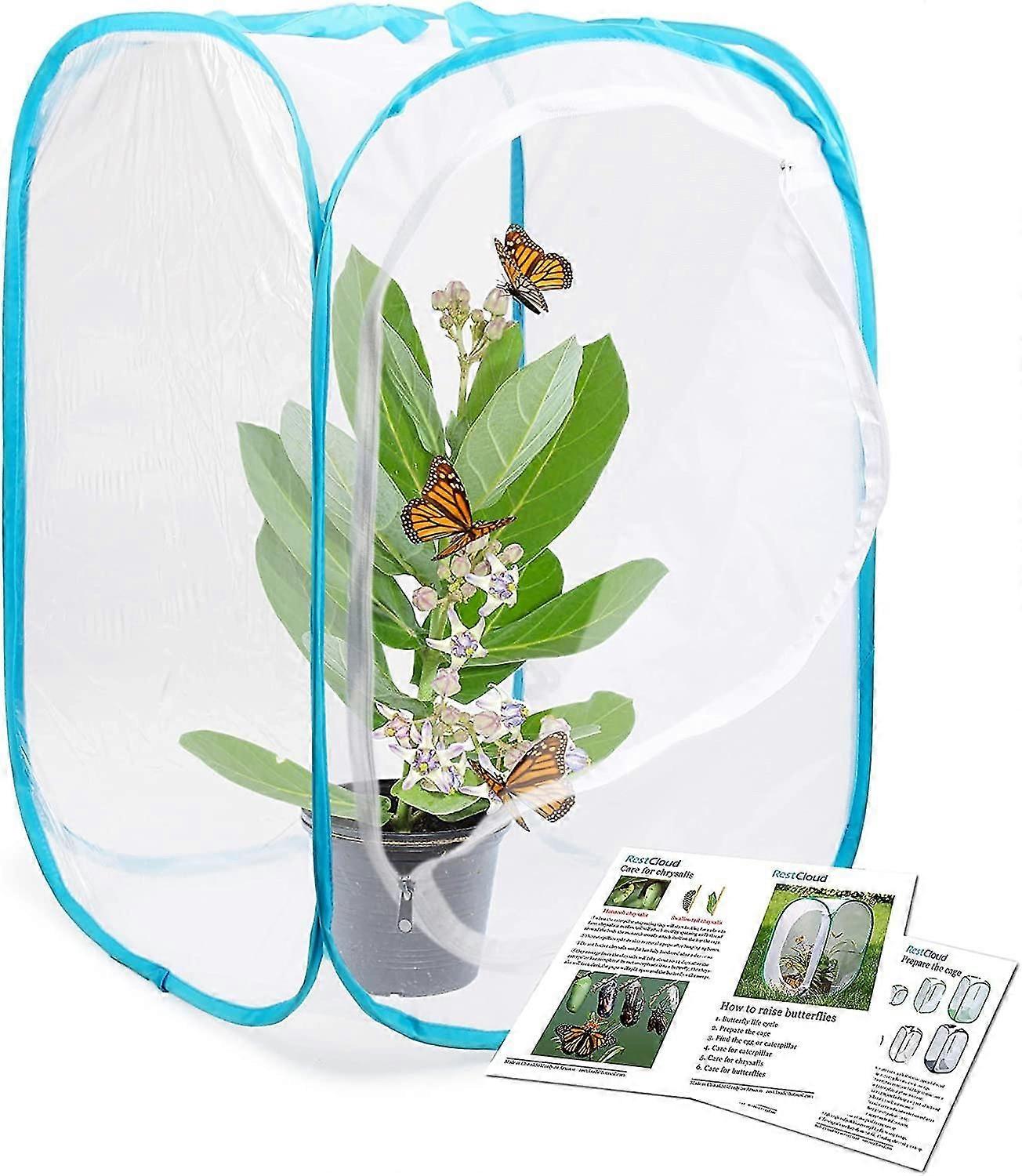 Inseto e borboleta Habitat Gaiola Terrarium Pop-up 24 polegadas de altura