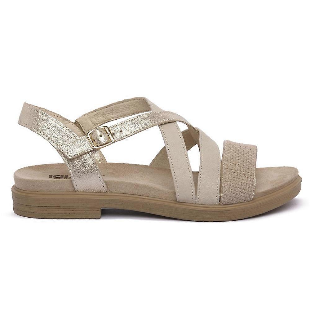 Shoes IGI&CO Stella 7668022