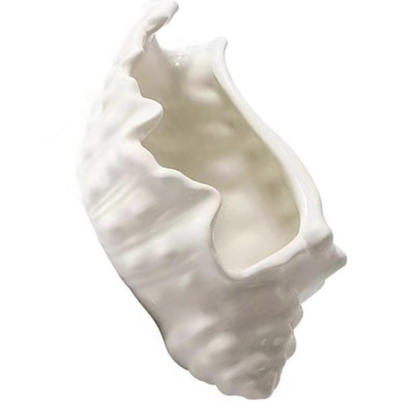 Ceramic Jewelry Display Dish Scratch Resistant Conch Pattern Decorative Storage Accessory for Necklaces Bracelets  White