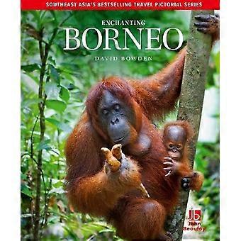 Enchanting Borneo