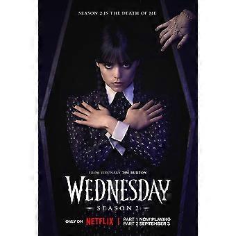 Wednesday, Adams Immersive Puzzle Y670