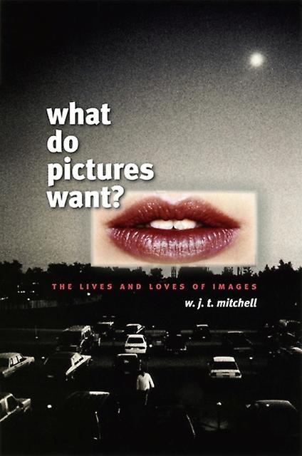 What Do Pictures Want by W. J. T. Mitchell Paperback Book