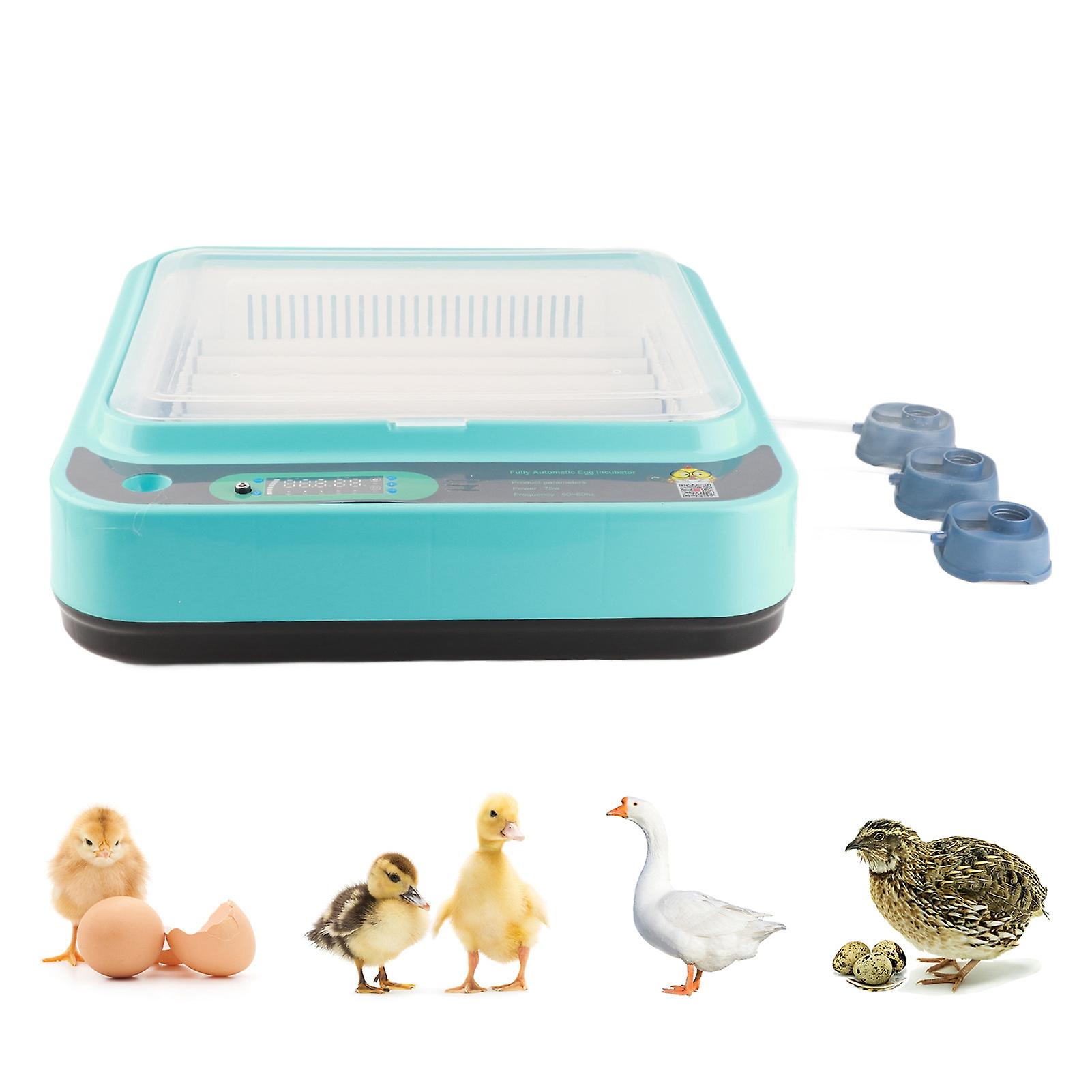 Egg Incubator Blue Plastic 37x35x18cm Automatic Turner Poultry