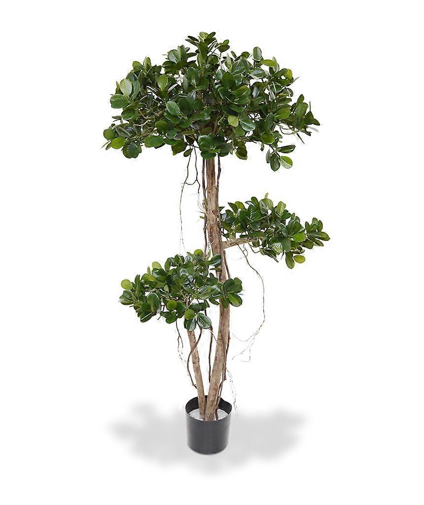 Panda Bonsai tree (140