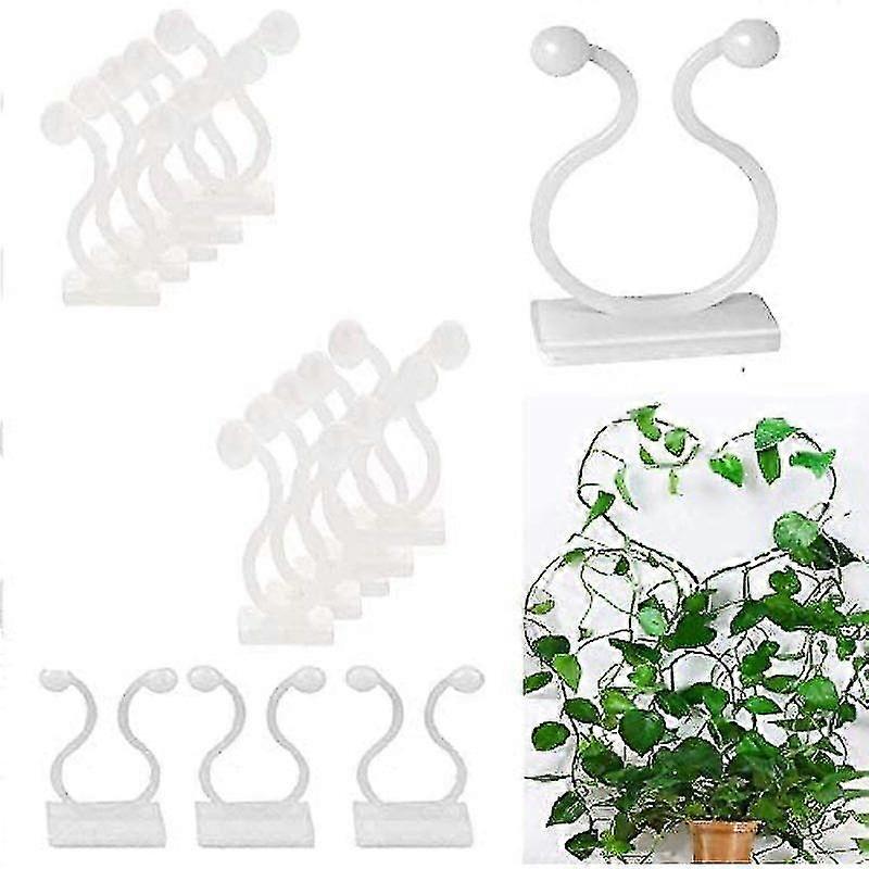 50 قطعة نبات كليب كابل روابط ذاتية اللصق نبات تسلق جدار التثبيت مقاطع النبات يدعم تسلق مقاطع النبات