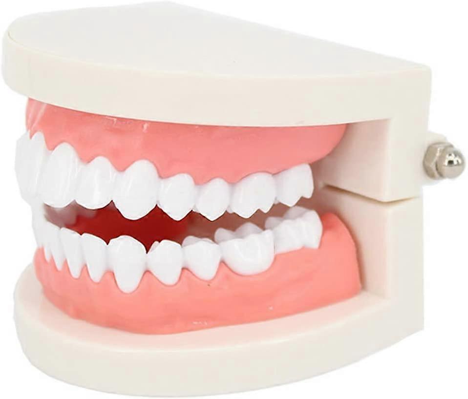 Demonstration dental model