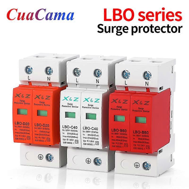 1Pcs SPD 2P Surge Protector Low Voltage AC Distribution Household Lightning Protection Device Arrester Power Switch Module LBO