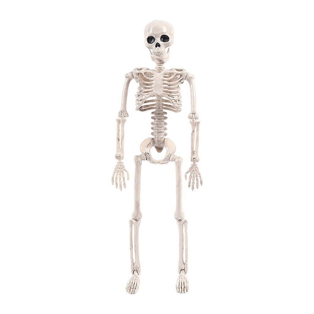 Halloween Skeleton Model Skeleto Anatomy Movable Joints Horror Theme Party