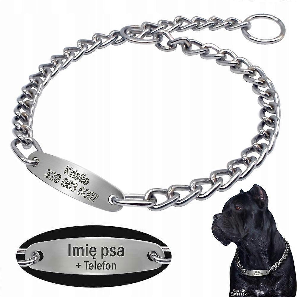 Metal Dog Collar With Engraving Size L
