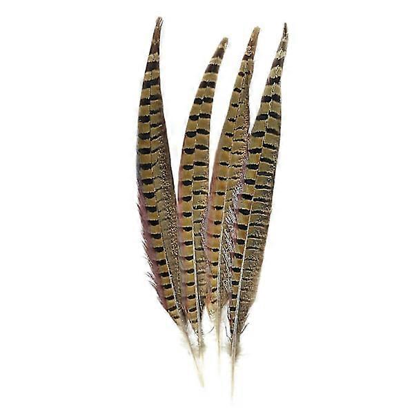 Touch of Ringneck Pheasant Feathers 4pcs, Natural