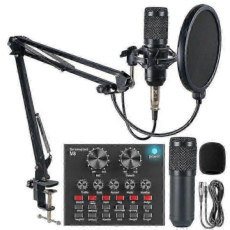Professional Studio Audio Interface Recording External Live Bm-800 Karaoke Mic V8 Sound Card For Condenser Microphone