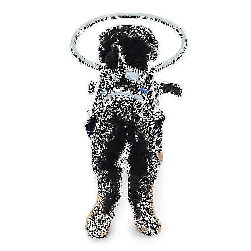 Blind Dog Harness Guide Device Help For Blind Dogs To Avoid Accidents & Build Confidence Ideal Blind Dog Accessory To Navigate f54 2025