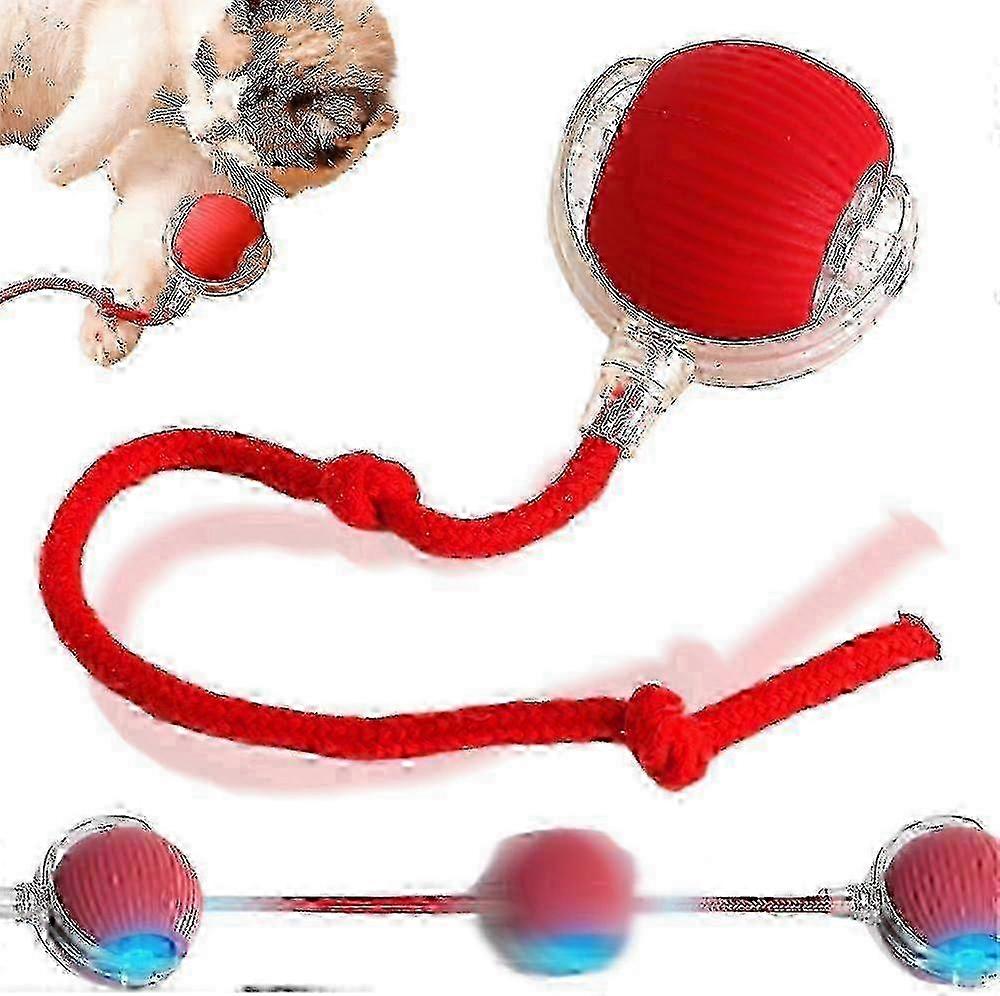 Electric Smart Self - Rolling Interactive Dog & Cat Ball Toy P2021122457