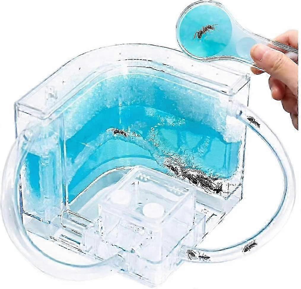 Ant Farm Castle Ant Habitat Science Learning Kit Study Insect Behavior W/ Tube TOP