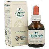 Les juglans regia depurative 50 ml