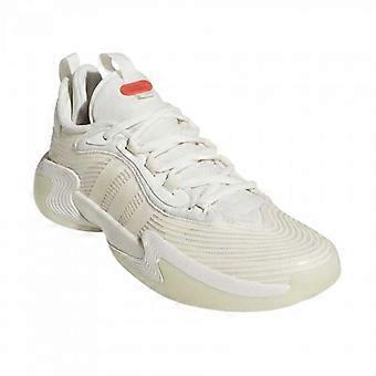 Adidas Womens/Ladies Exhibit Select 2.0 Synthetic Basketball Shoes