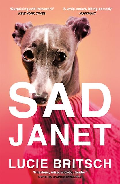 Sad Janet by Lucie Britsch Paperback