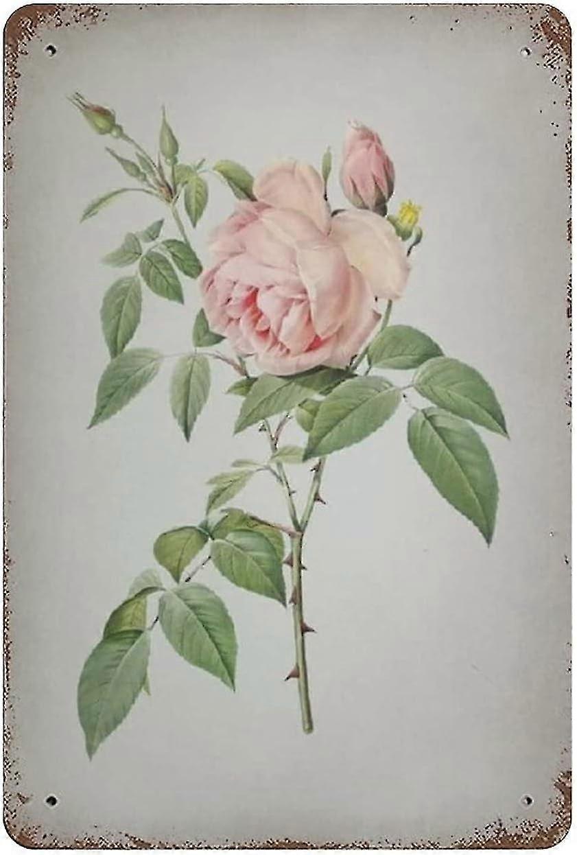 Placa de Metal Decoração Florescente Provins Rose 8x12 Polegadas OU 12x16 Polegadas Modo 1756