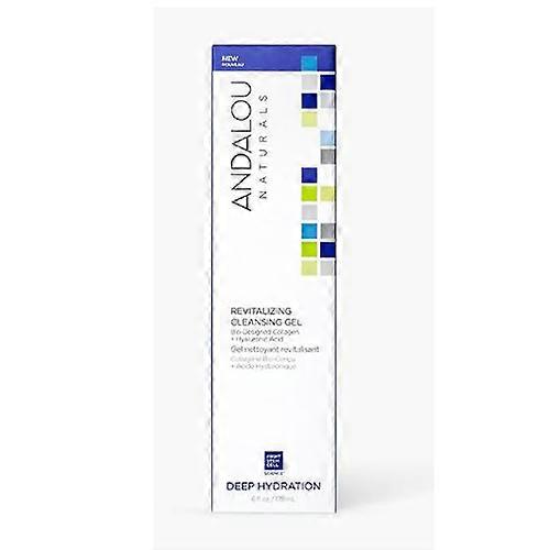 Andalou Naturals 深层保湿焕活清洁凝胶，6 盎司