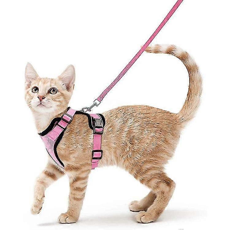 Cat Harness And Leash Set For Walking Escape Proof